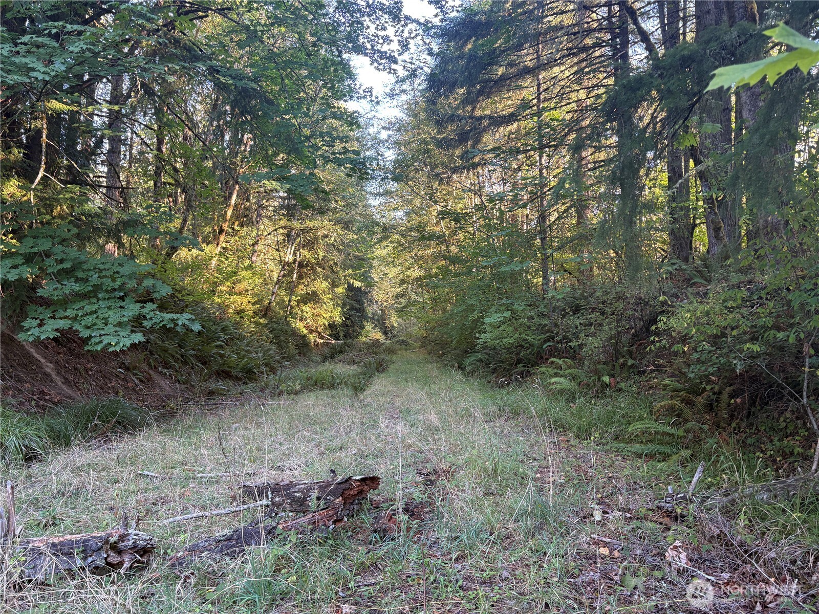 1 Nka Frank Smith Road Property Photo 16