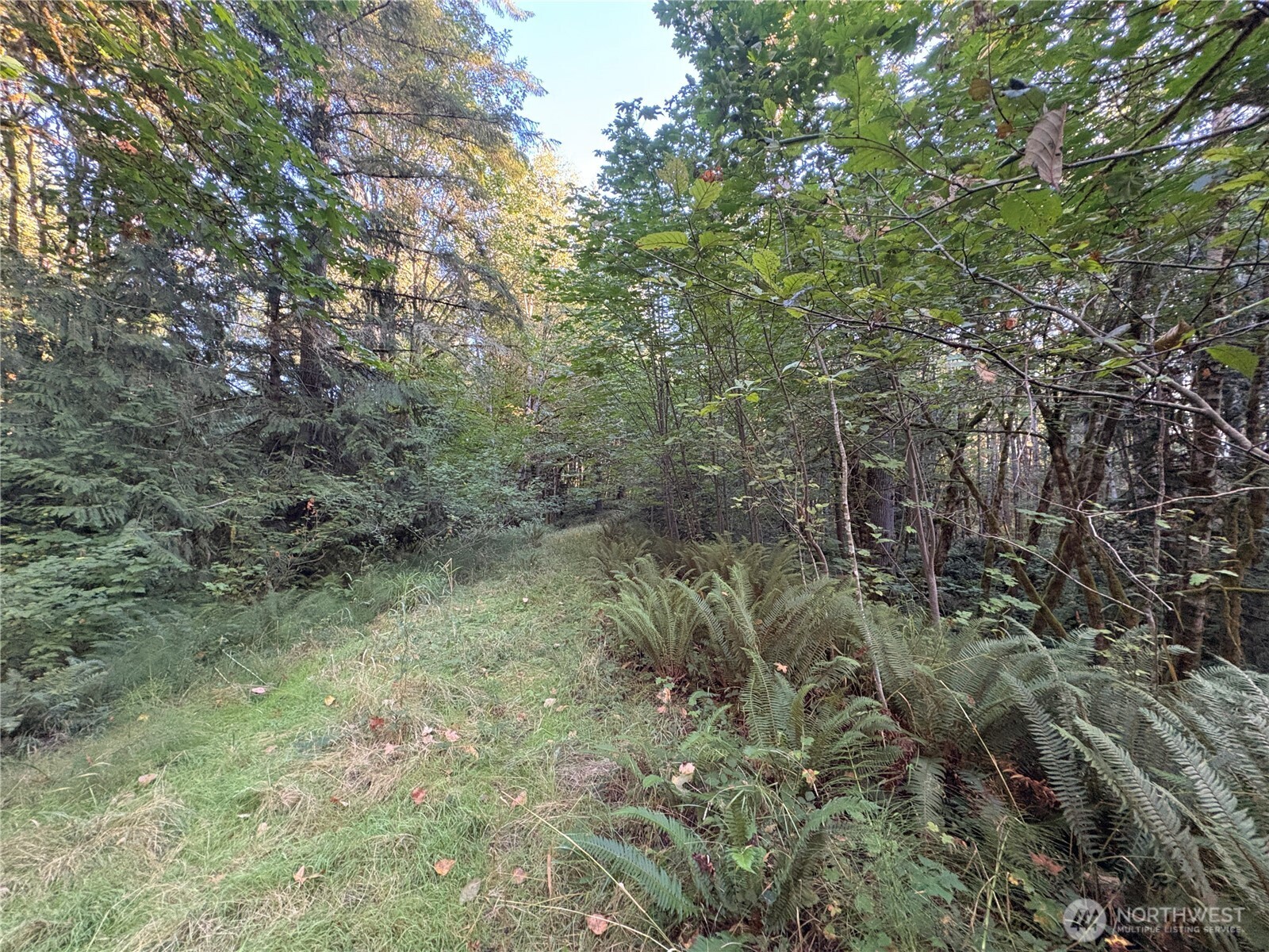1 Nka Frank Smith Road Property Photo 17