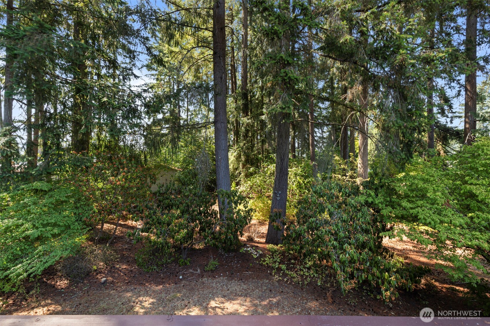 18922 9th Avenue Ct Property Photo 25