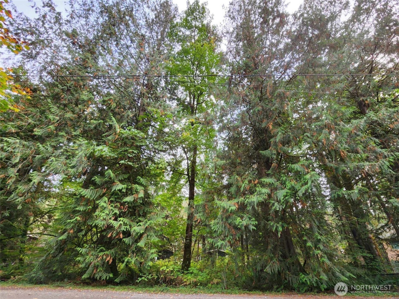 19504 River Place Property Photo 2