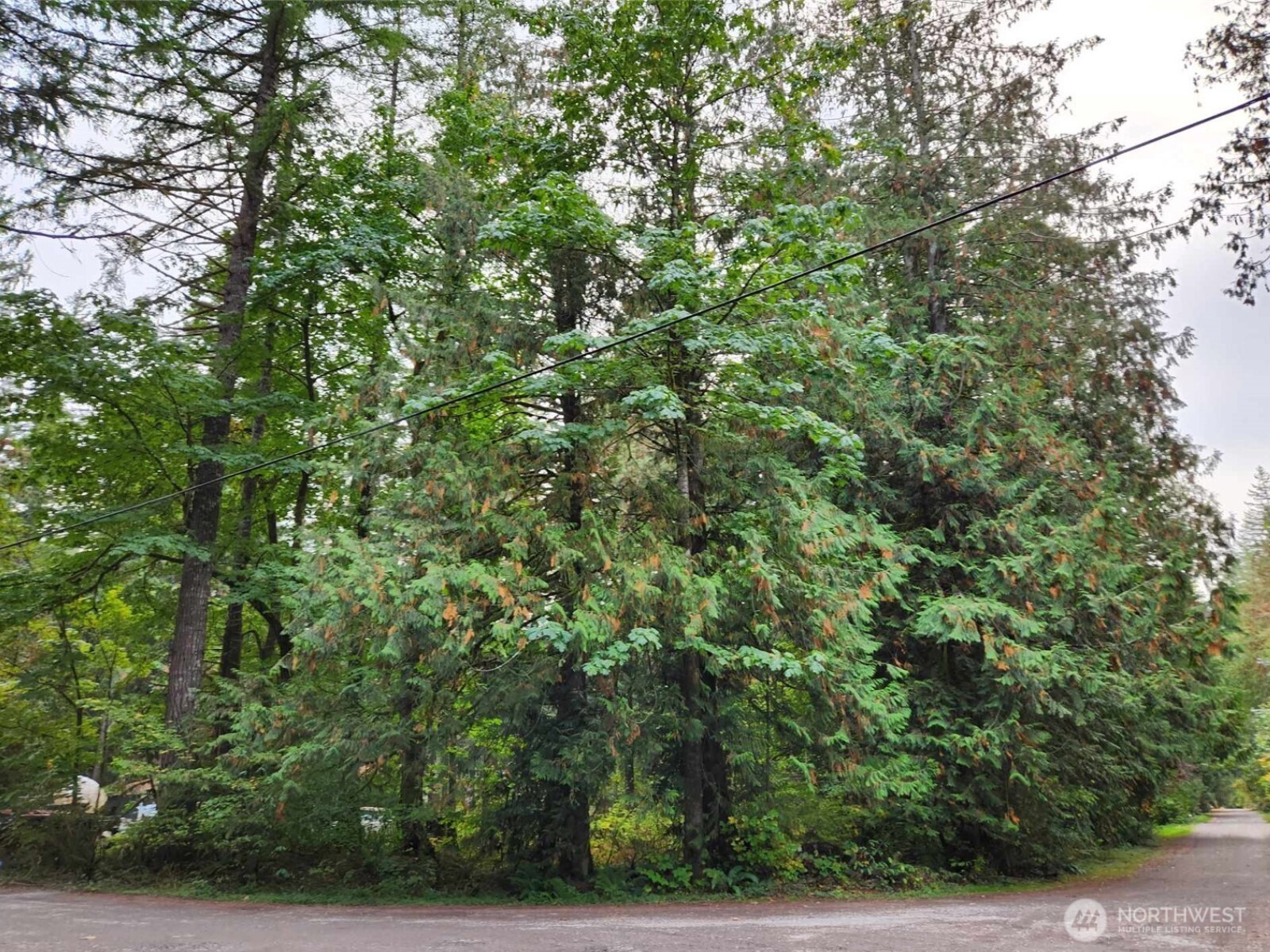 19504 River Place Property Photo 3