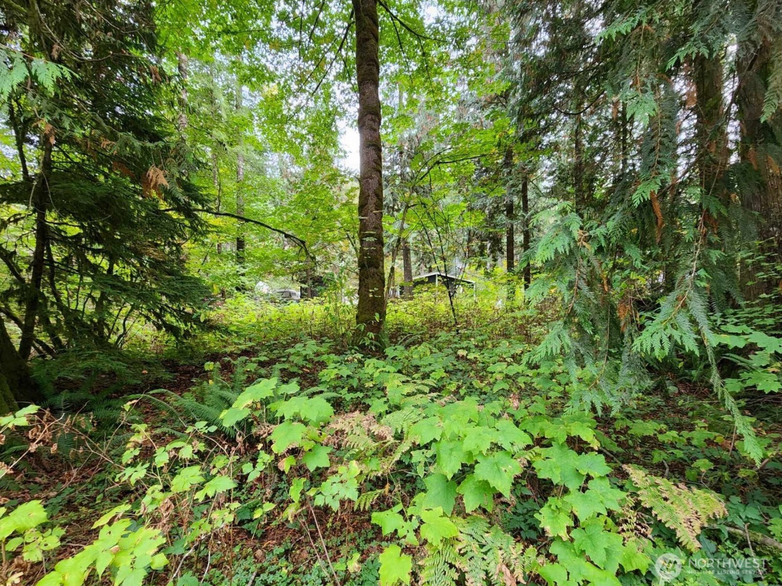 19504 River Place Property Photo 6