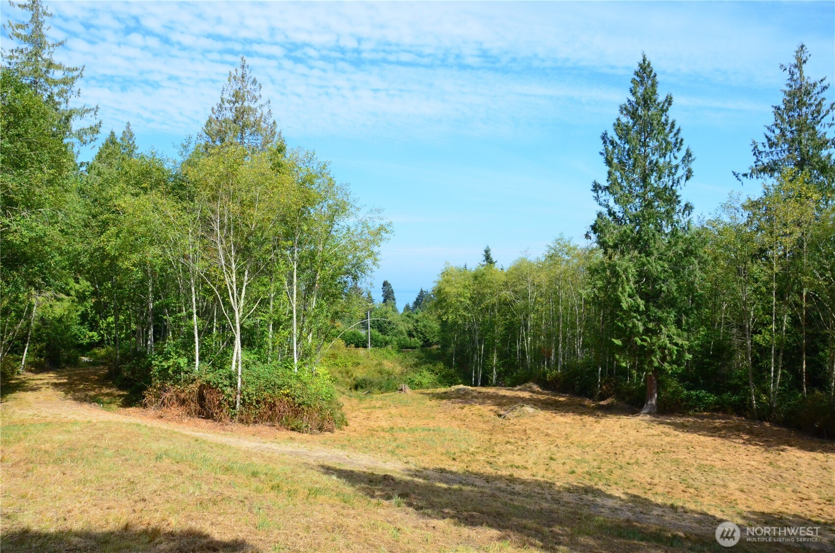 1050 Andy Cooper Road Property Photo 2