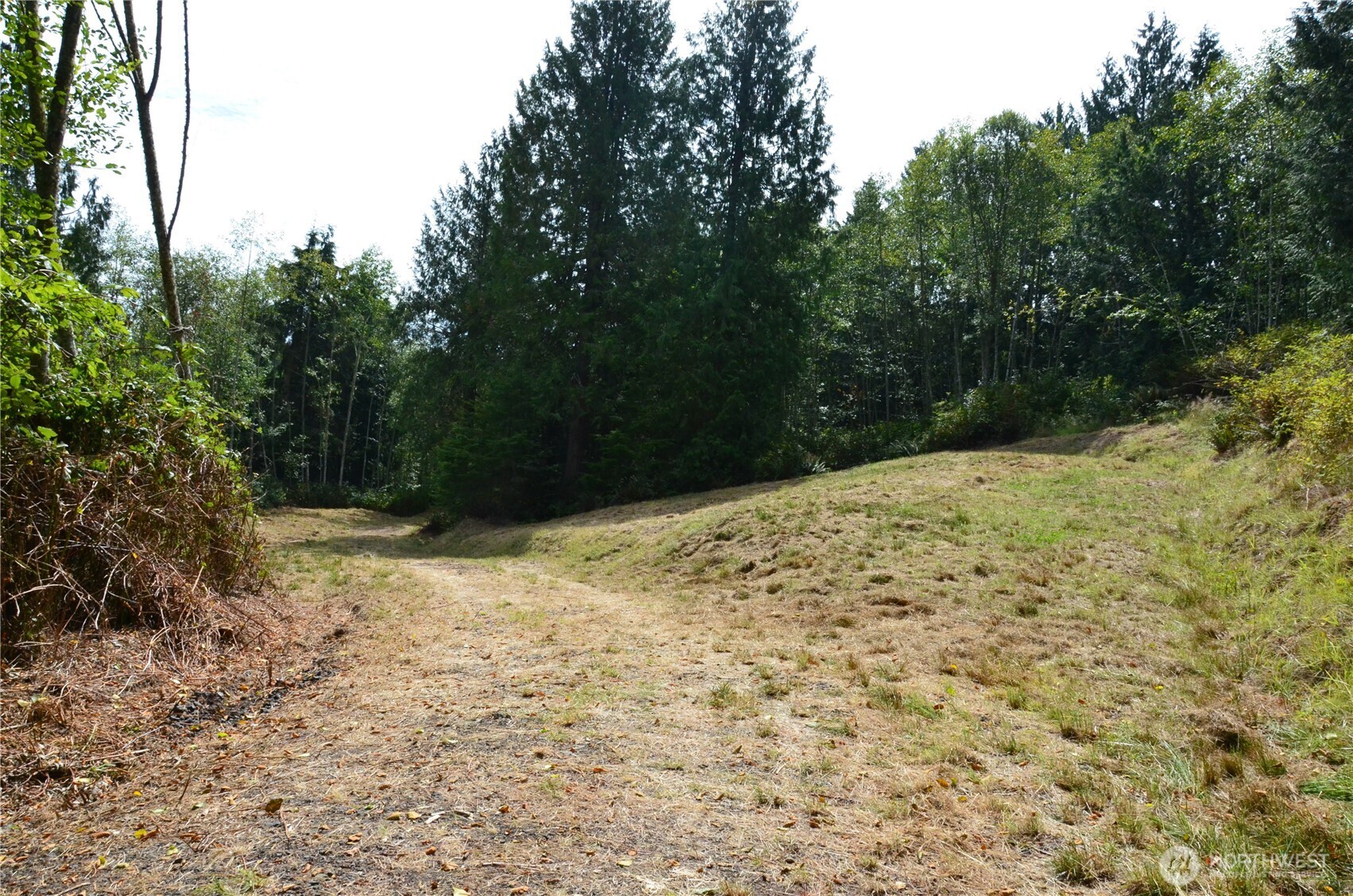 1050 Andy Cooper Road Property Photo 3