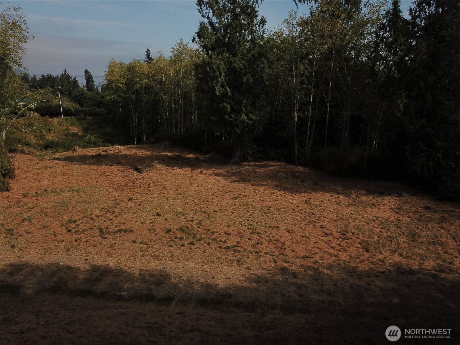 1050 Andy Cooper Road Property Photo 4
