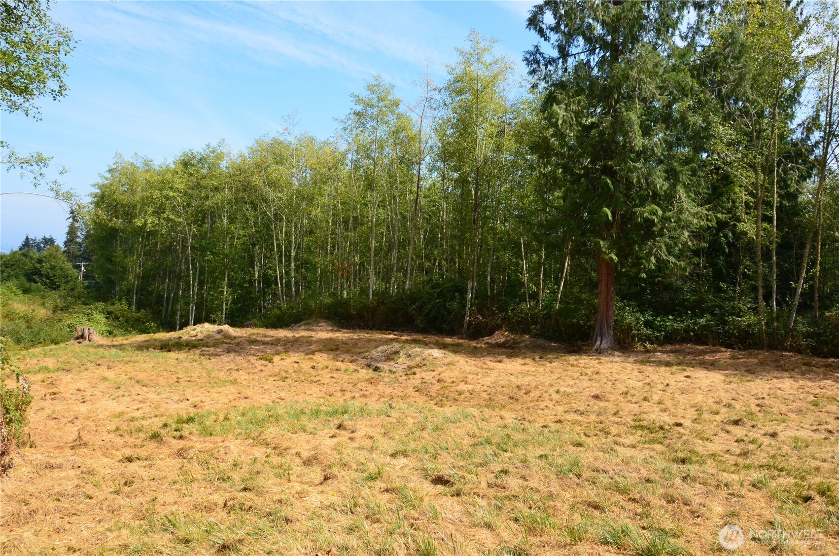 1050 Andy Cooper Road Property Photo 10
