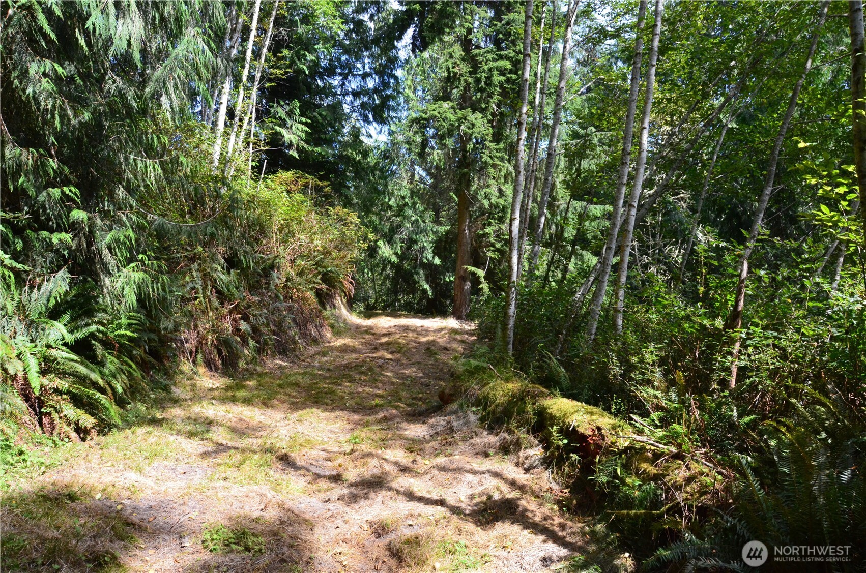 3900 Paradise Bay Road Property Photo 1