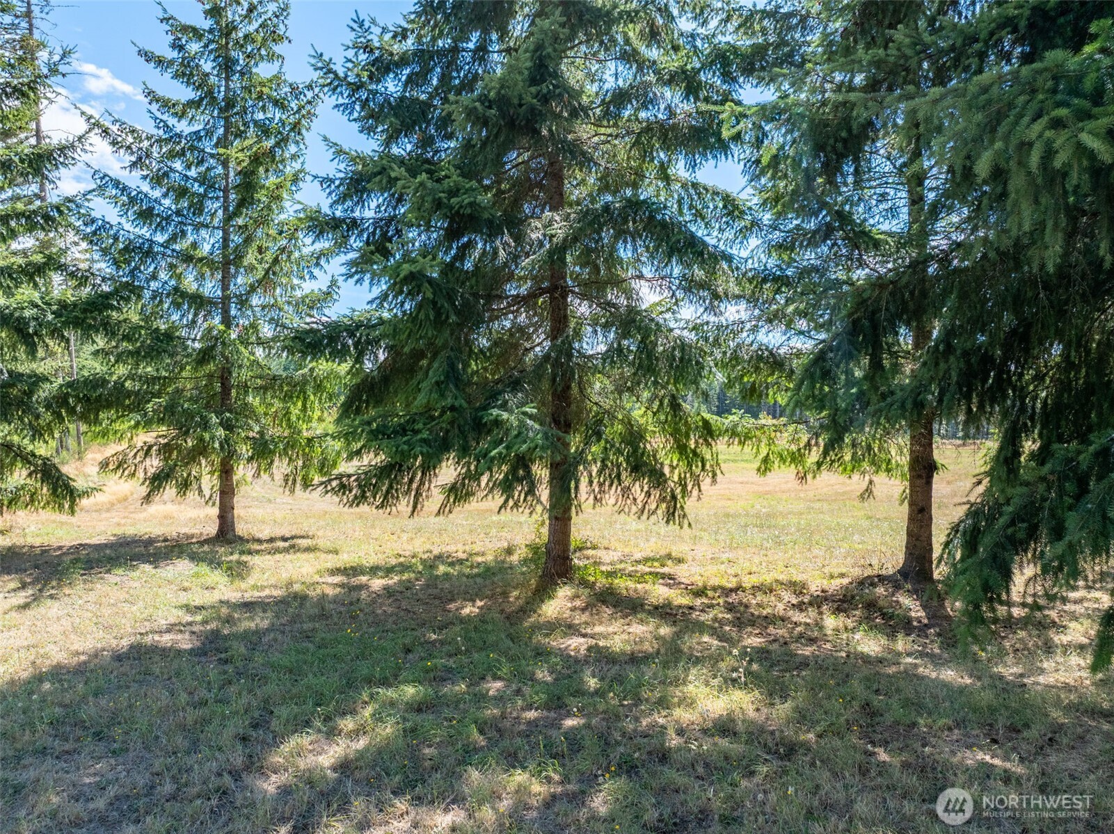 0 Mcglaughlin Road 6 Property Photo 19