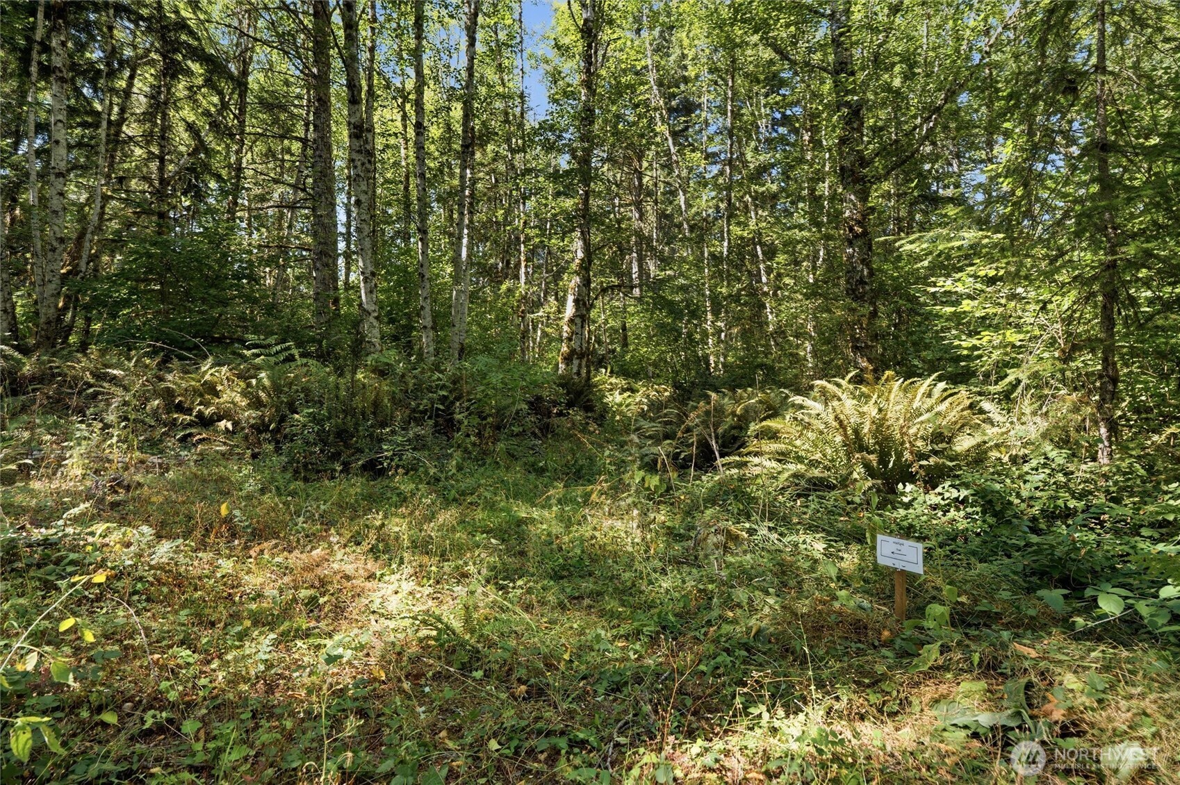2041 E Rasor Rd Property Photo 10