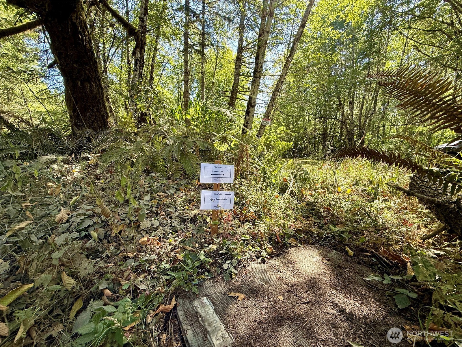 2041 E Rasor Rd Property Photo 18