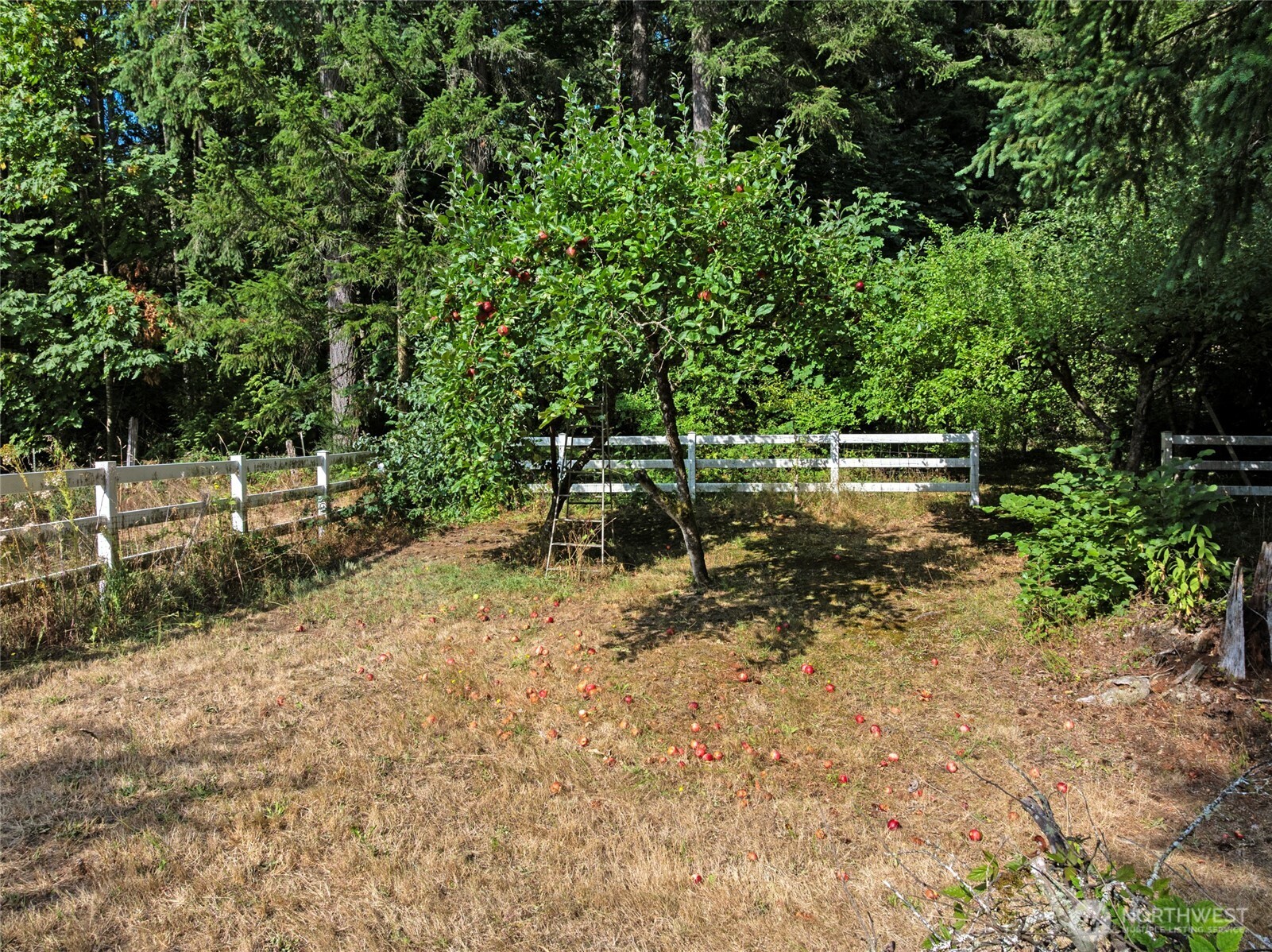 5728 Nw Littlewood Lane Property Photo 35