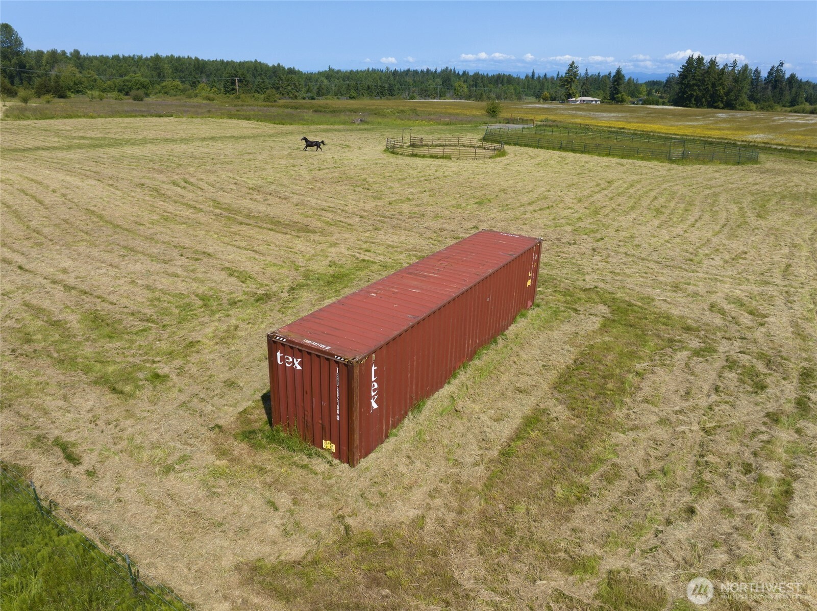 262 Laird Road Property Photo 8