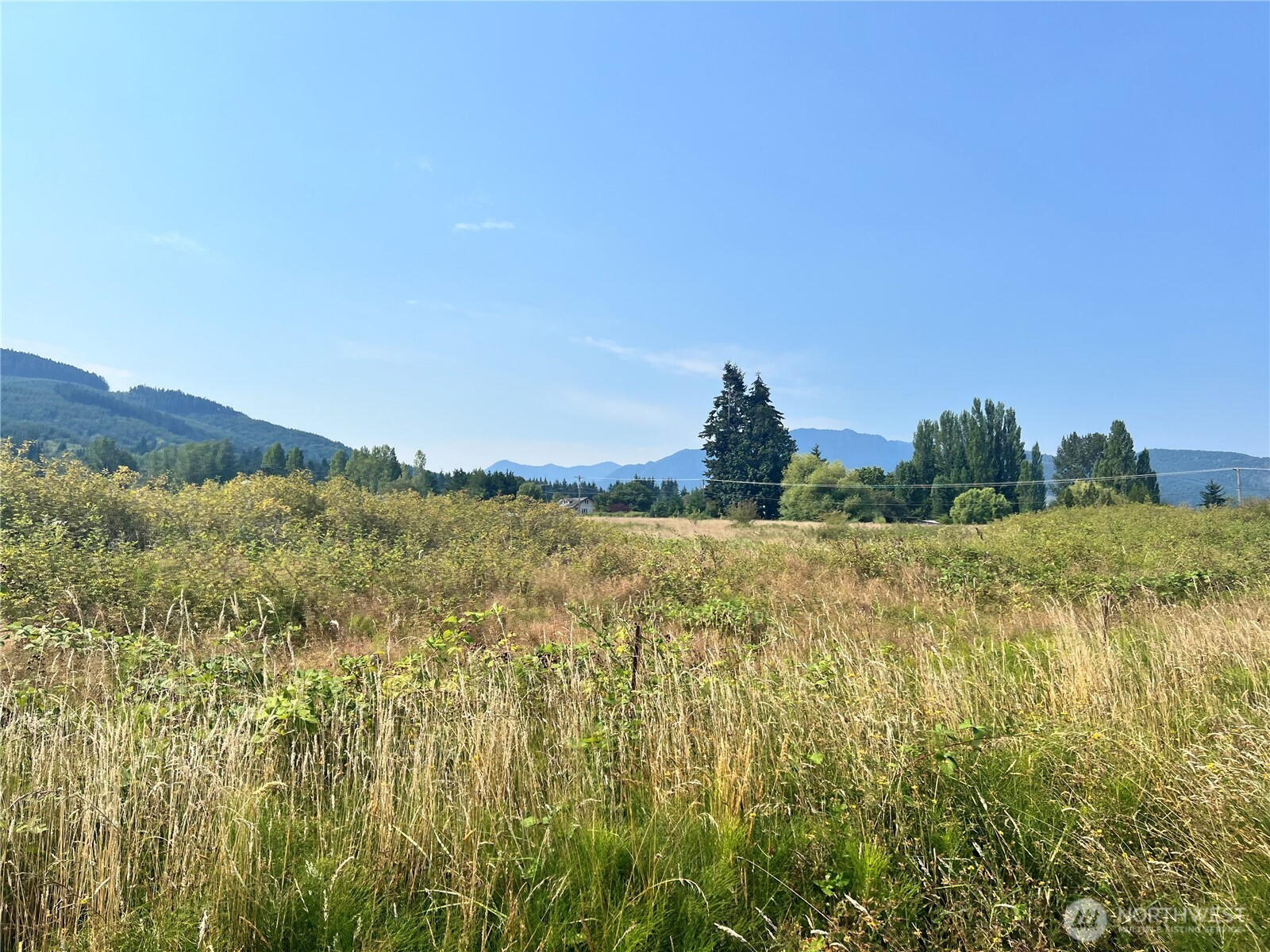 262 Laird Road Property Photo 11