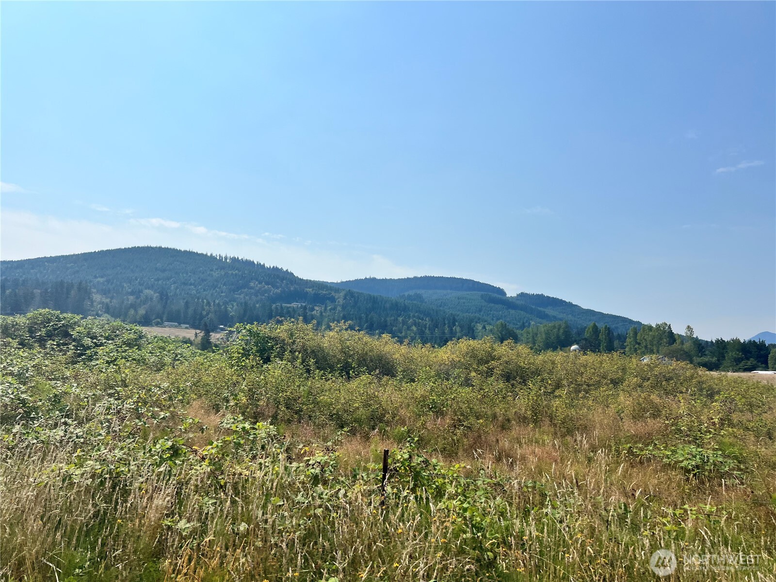 262 Laird Road Property Photo 12