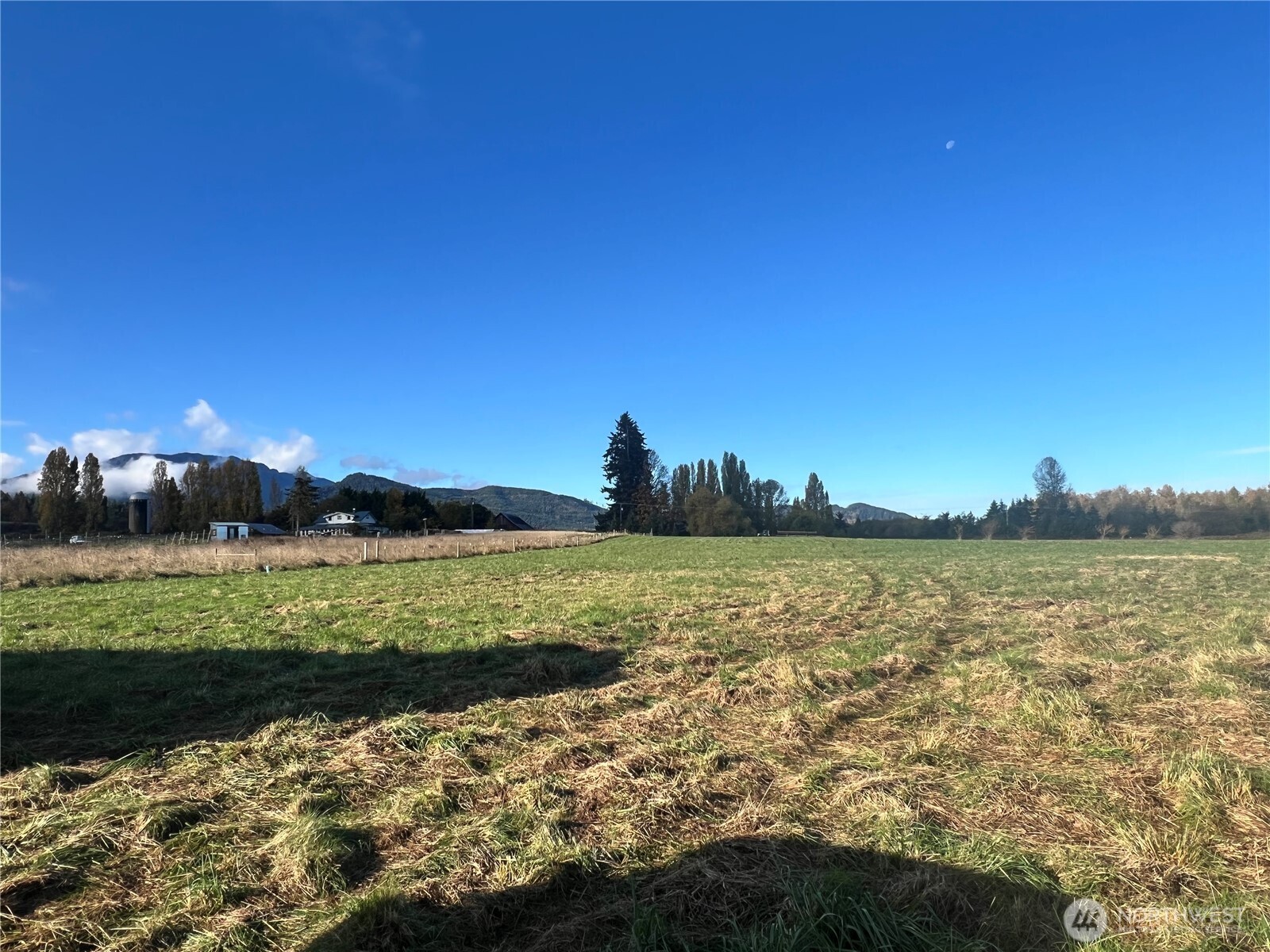 262 Laird Road Property Photo 14