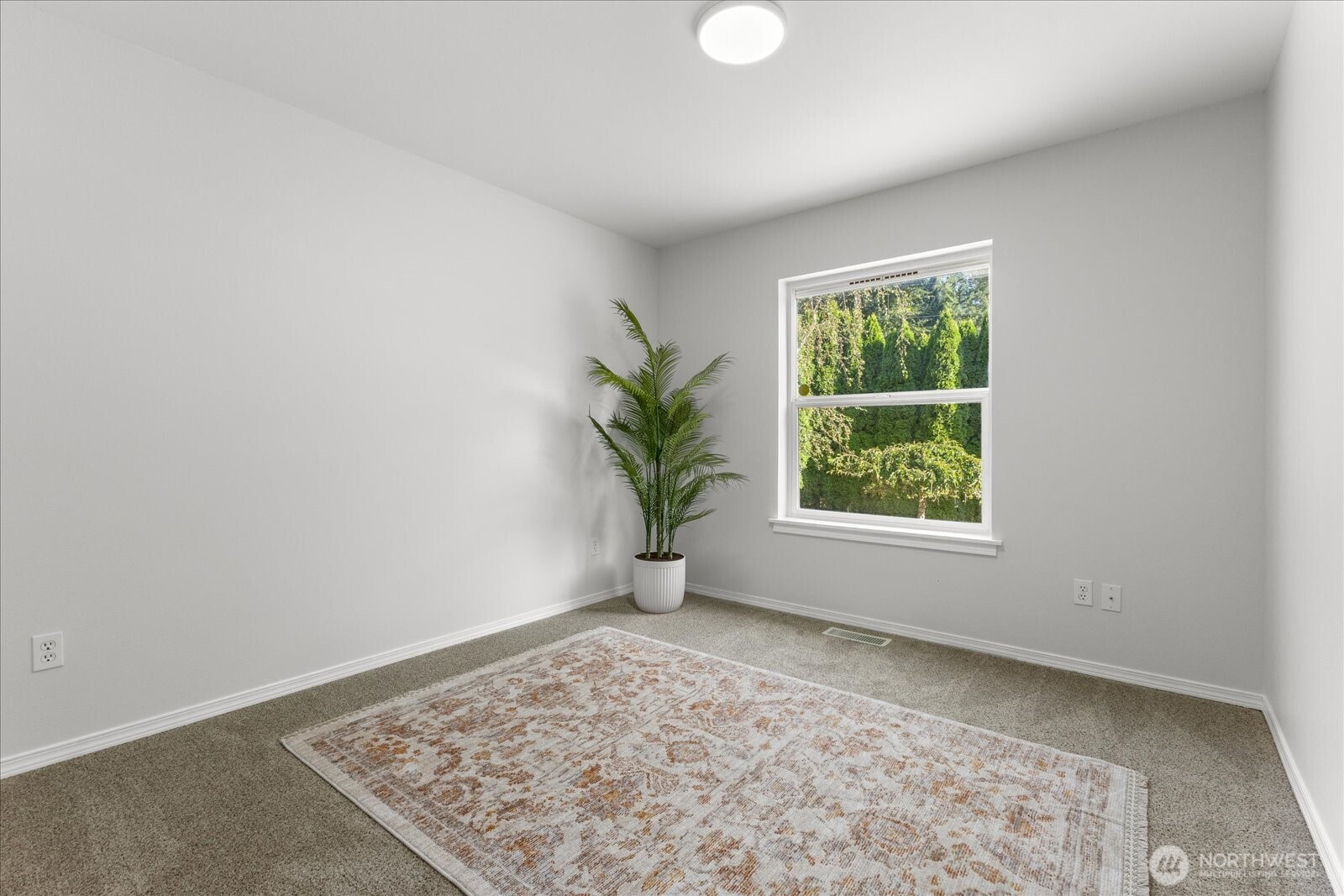 3019 Pine Lane Property Photo 11