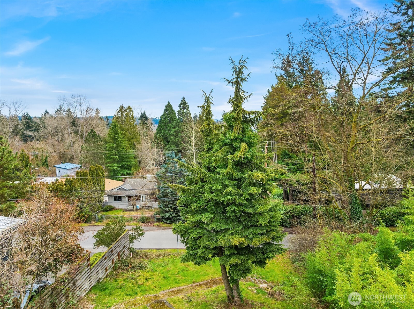 9229 45th Avenue Property Photo 3