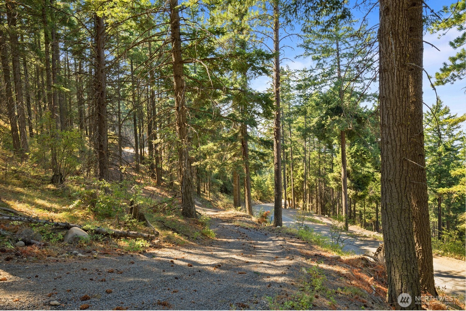 170 Pumphouse Hill Road Property Photo 3