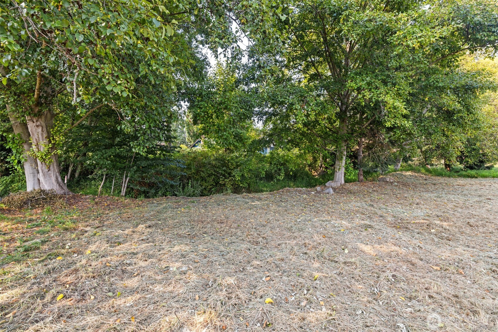 221 Van Dyken Drive Property Photo 11