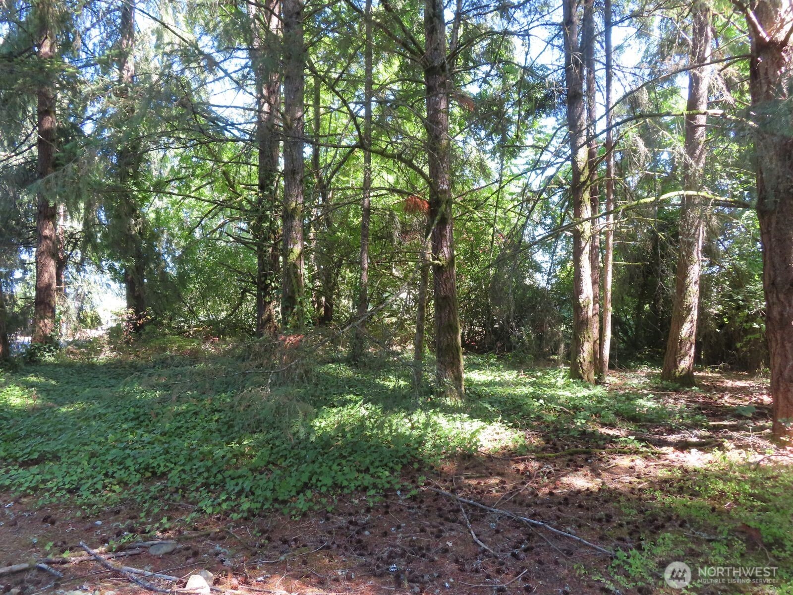 8021 Afflerbaugh Court Property Photo 1