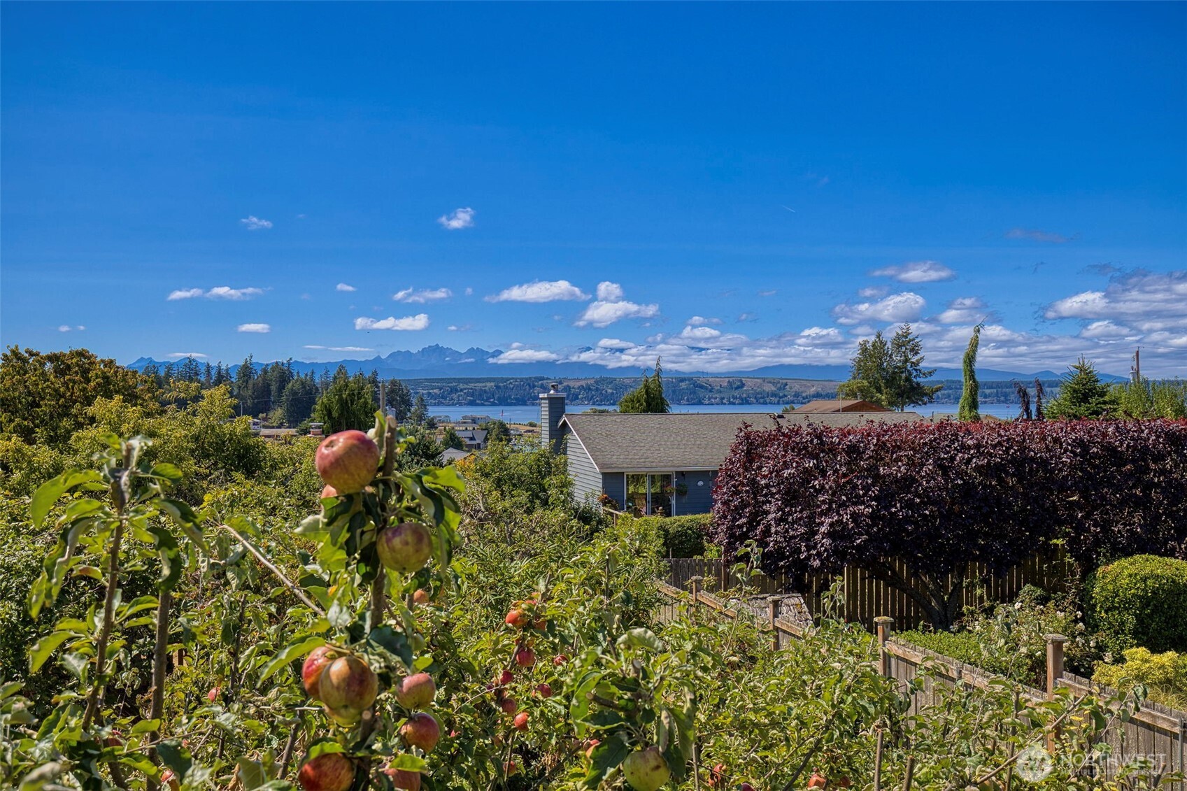 38003 Hood Canal Drive Property Photo 26