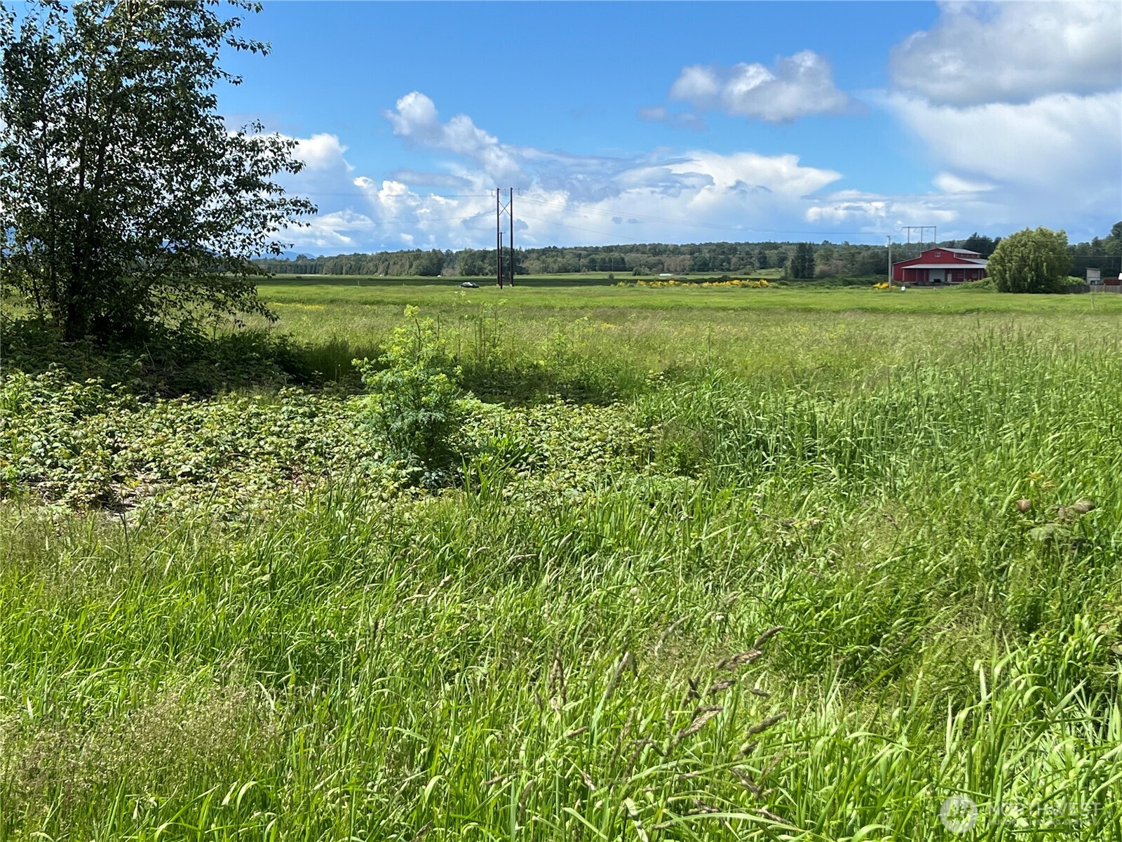 2573839 Property Photo 9