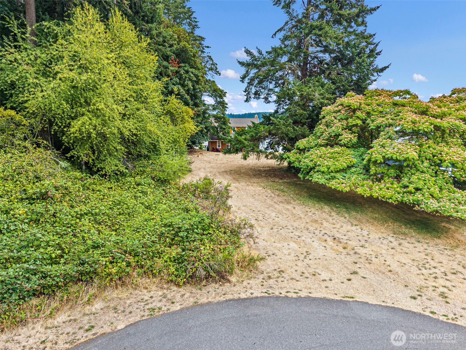 9205 165th Avenue Property Photo 13