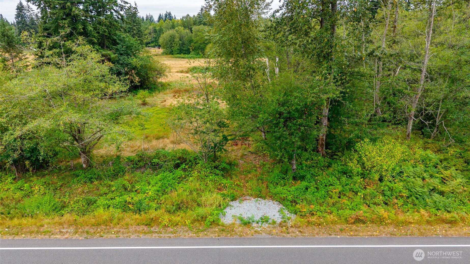 0 Old 99 Highway Property Photo 5