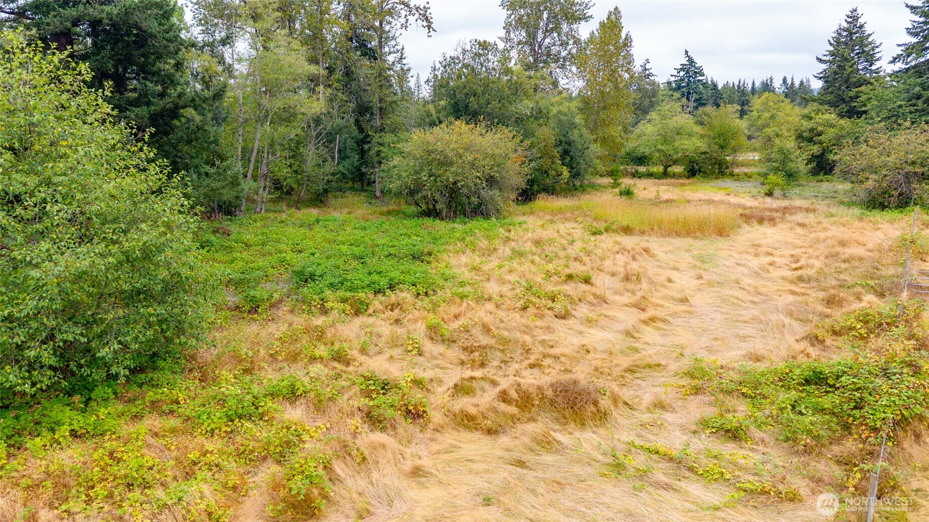 0 Old 99 Highway Property Photo 9
