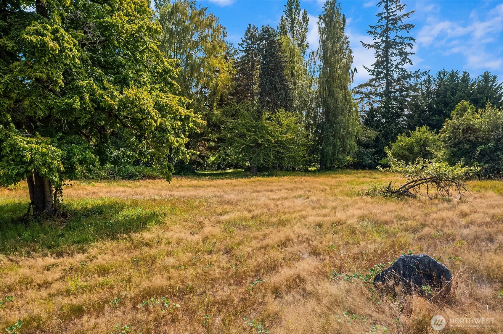 19200 Vashon Highway Property Photo 22