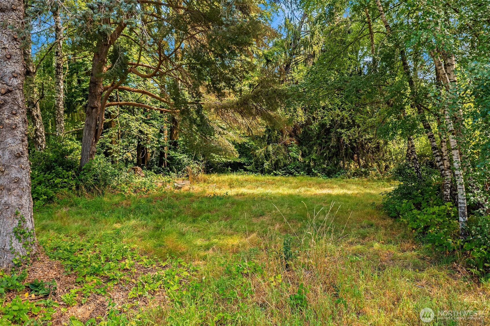 19200 Vashon Highway Property Photo 23