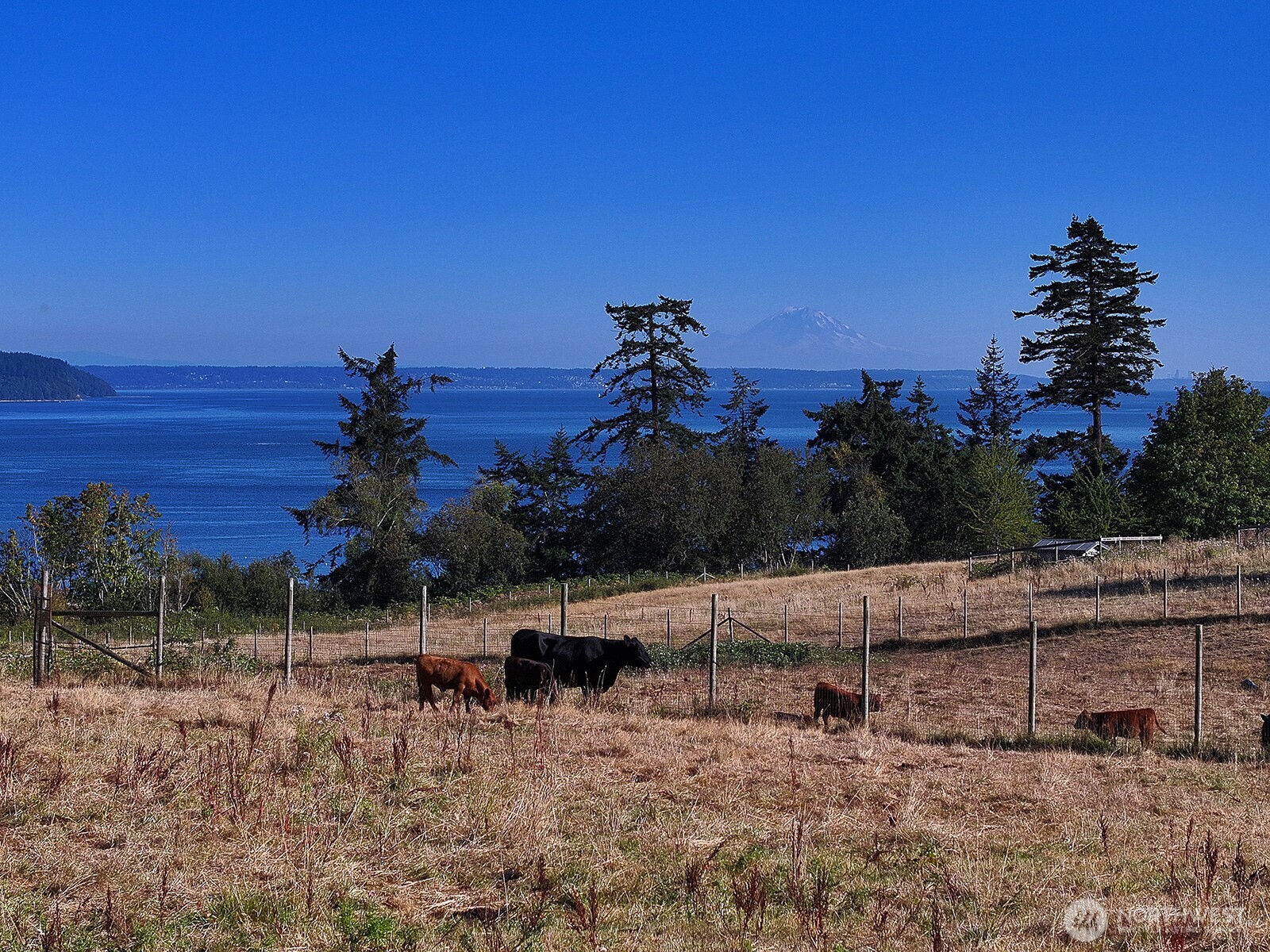 6065 Mcmaster Road Property Photo 4