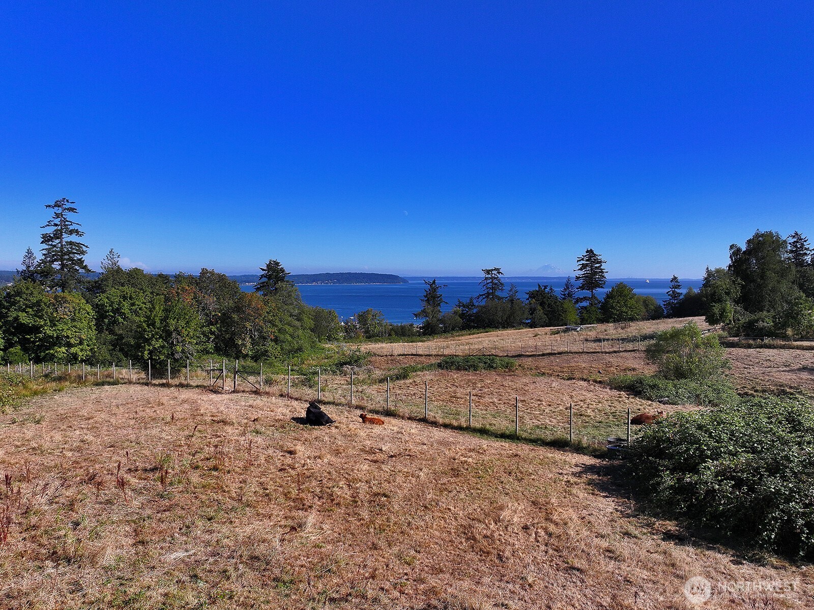 6065 Mcmaster Road Property Photo 37