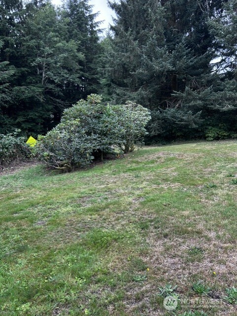 103 Funk Ballards Alley Property Photo 22
