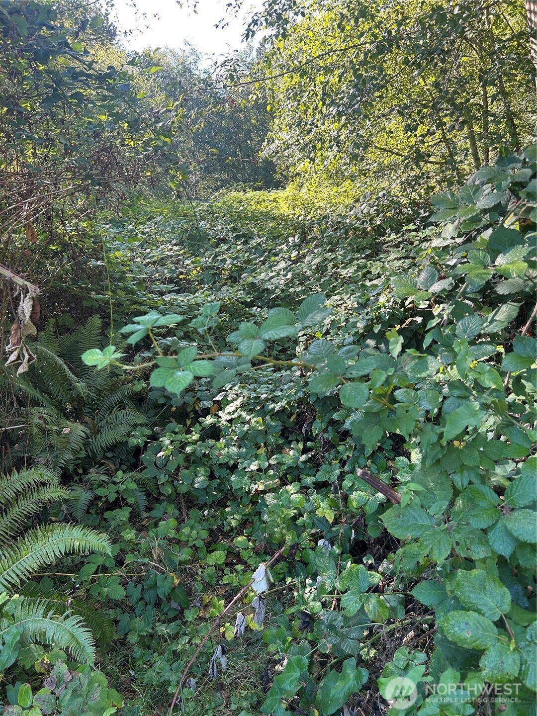 0 S Point Road Property Photo 6