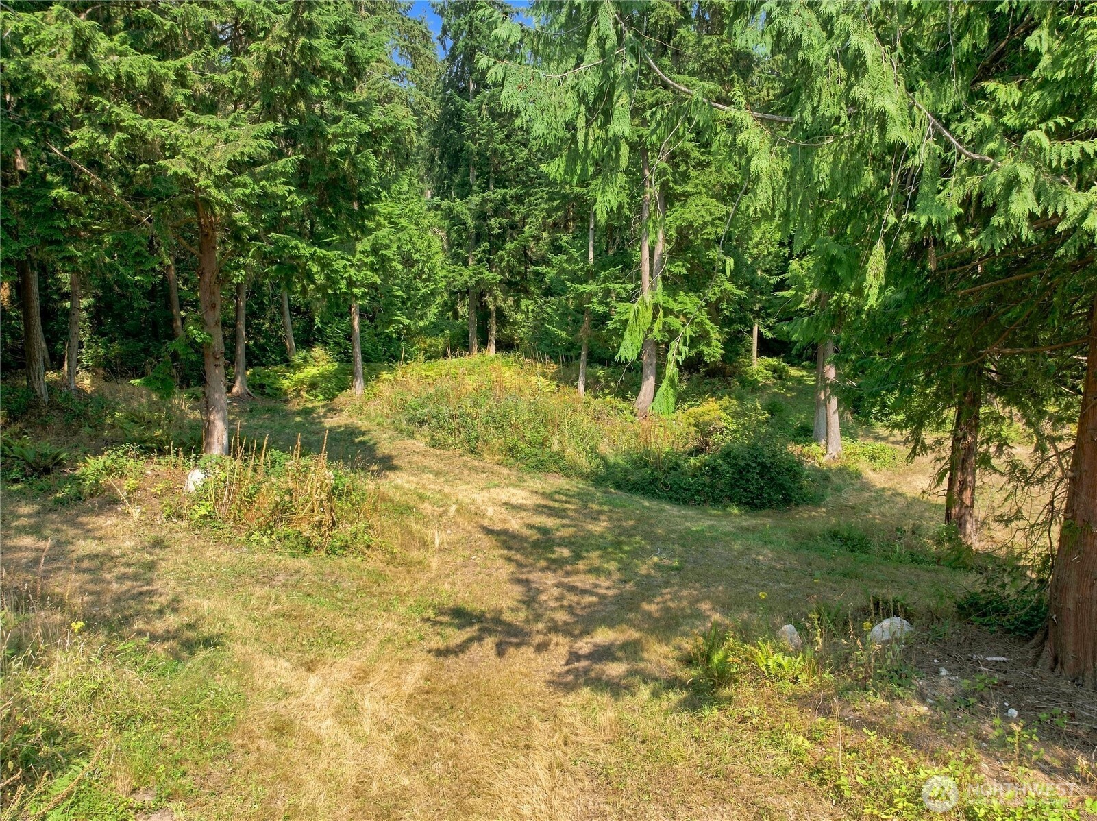 7495 Jewett Road Property Photo 14