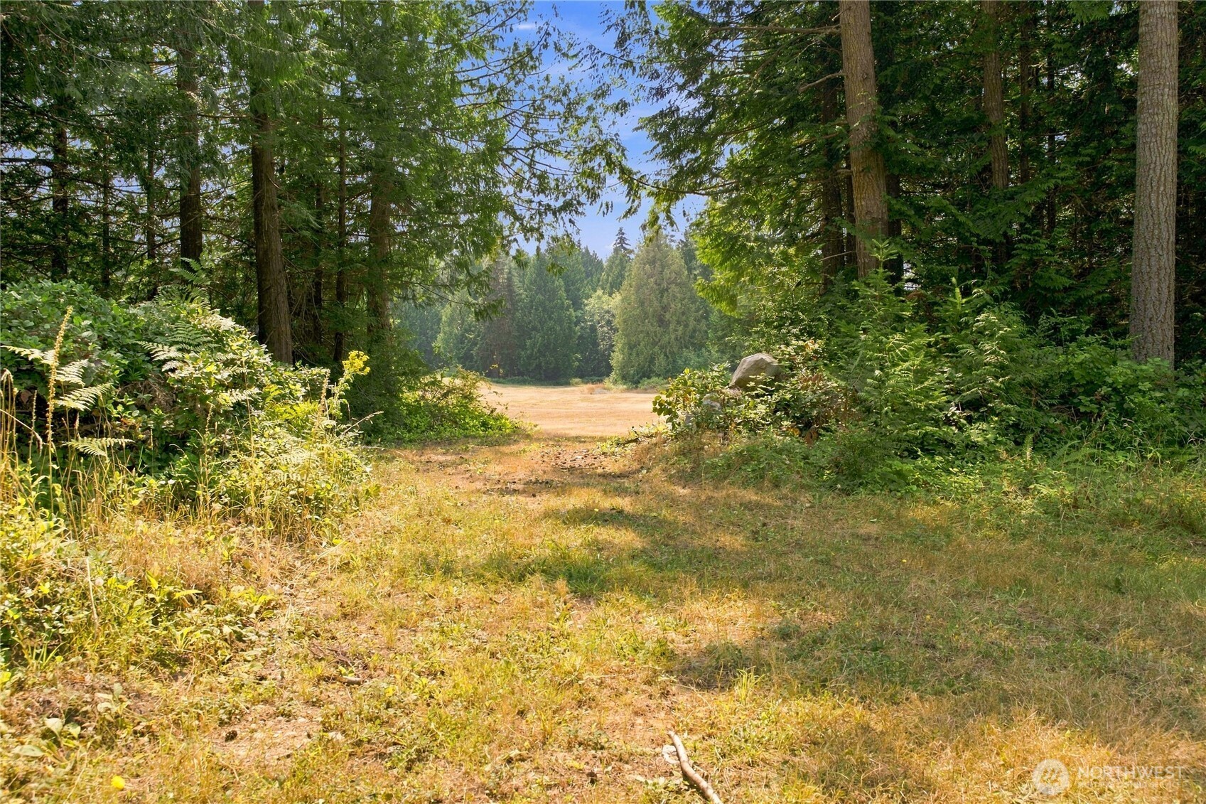 7495 Jewett Road Property Photo 15