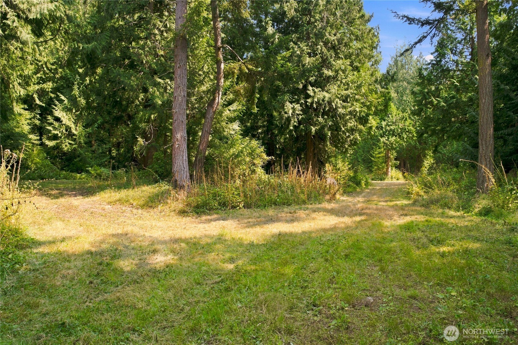 7495 Jewett Road Property Photo 19