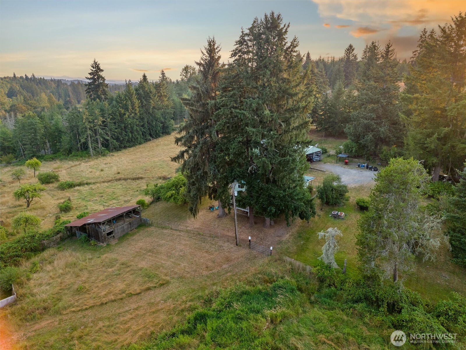 31017 144th Avenue Property Photo 5