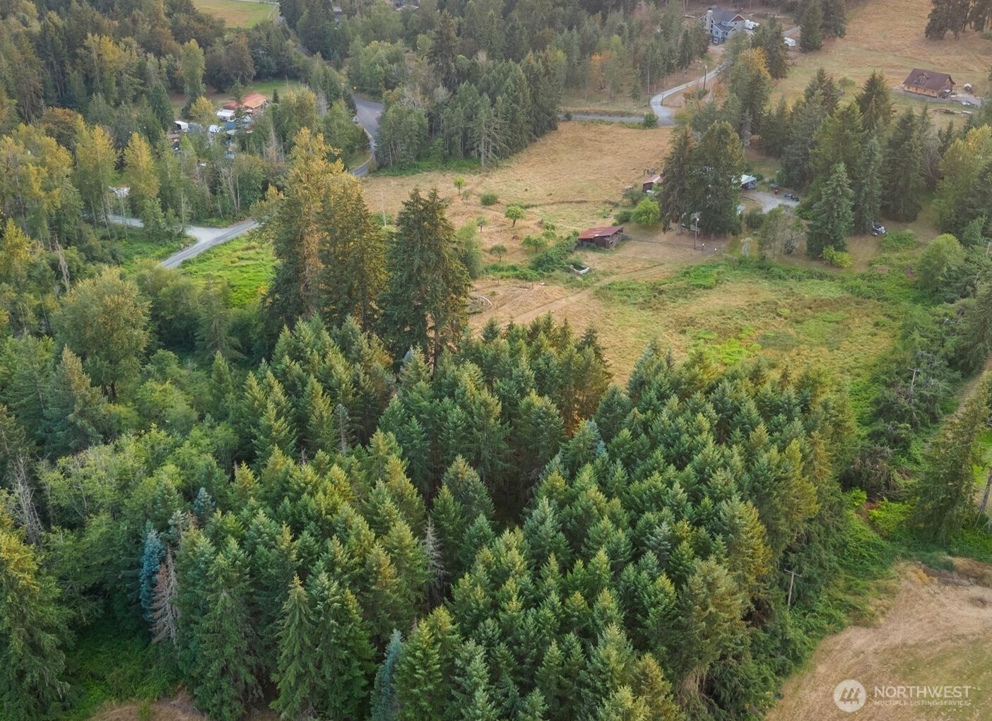 31017 144th Avenue Property Photo 9