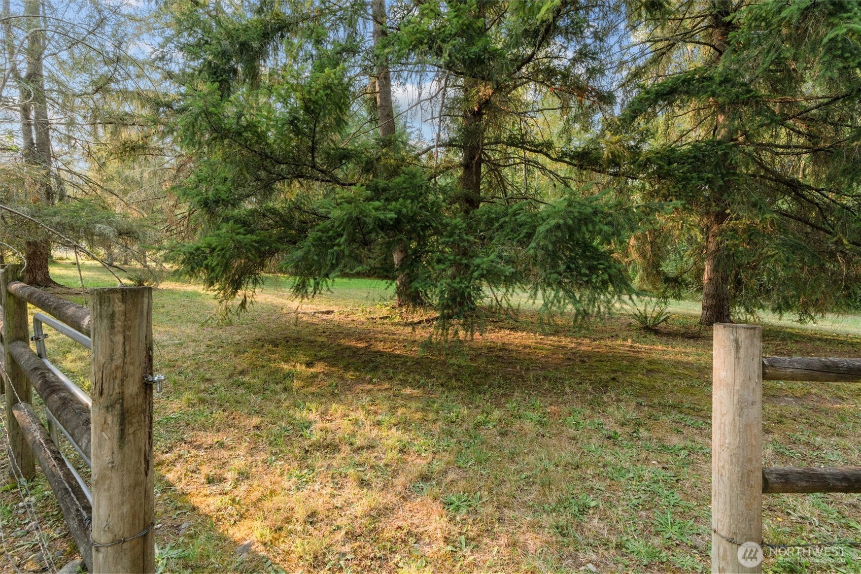 31017 144th Avenue Property Photo 13