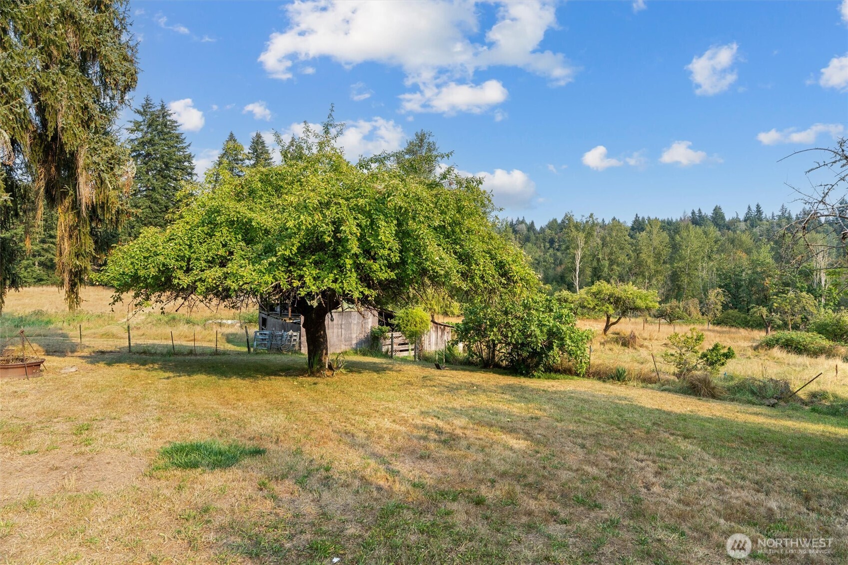 31017 144th Avenue Property Photo 15