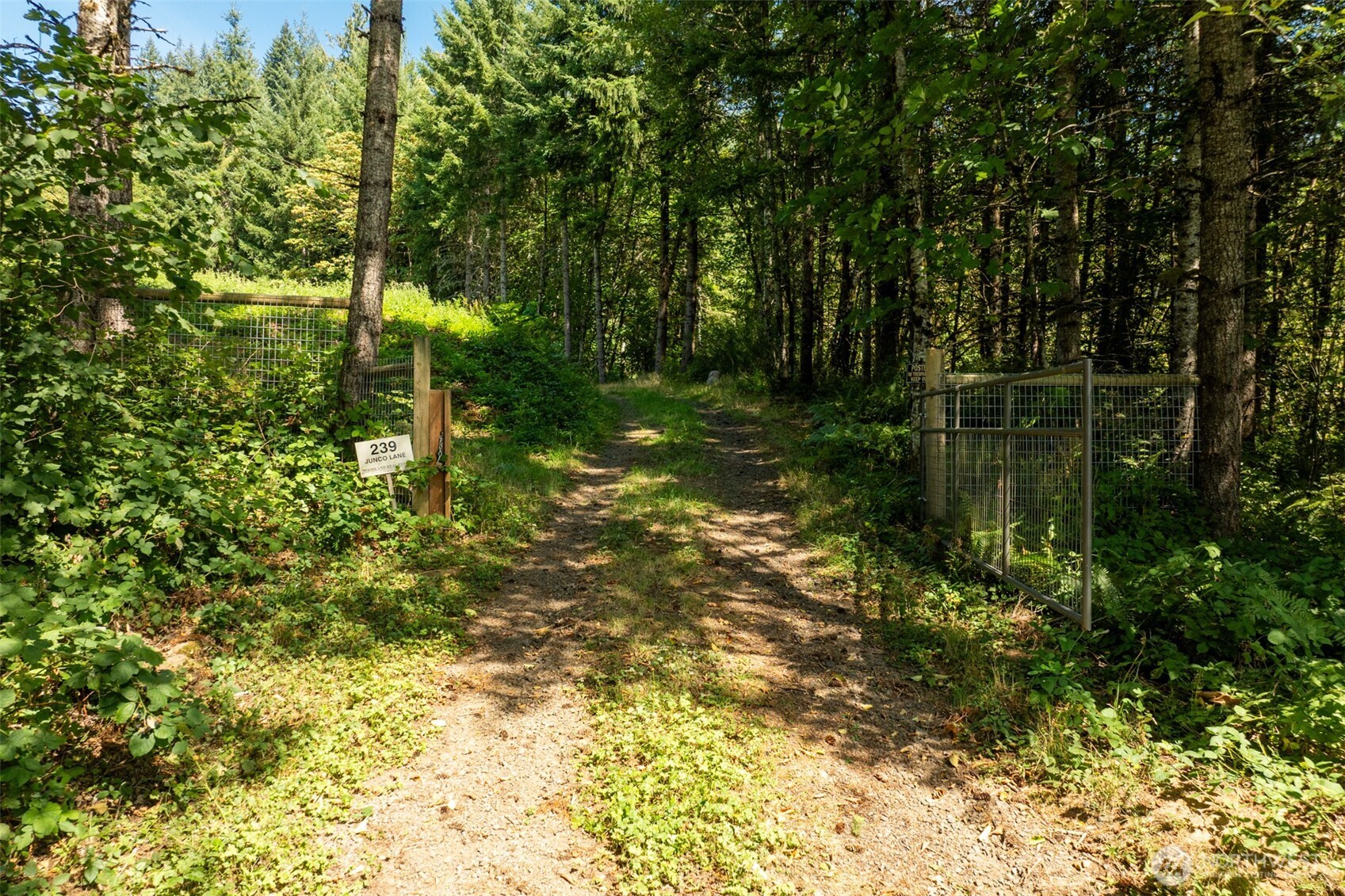 239 Junco Lane Property Photo 2