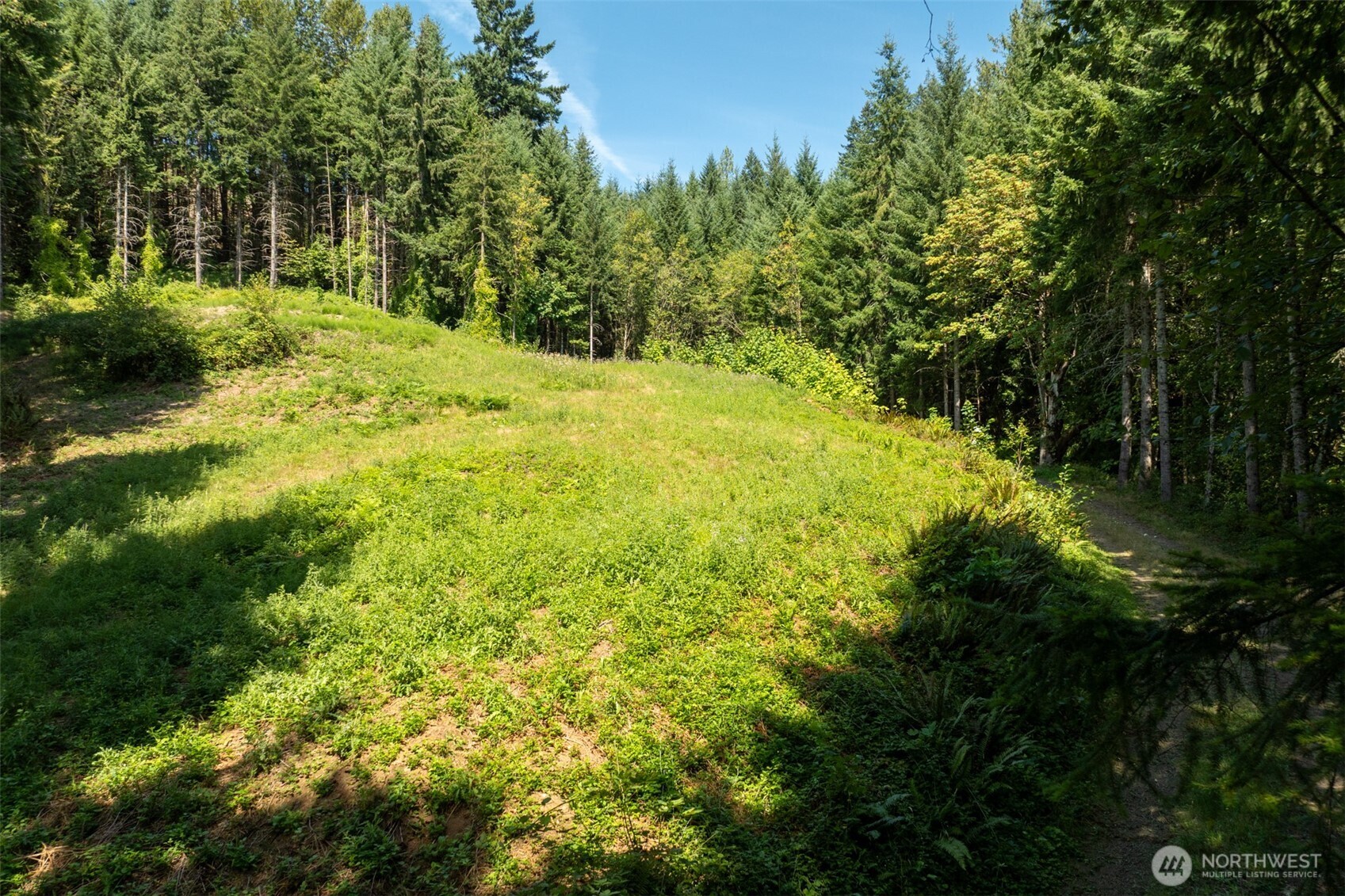 239 Junco Lane Property Photo 14