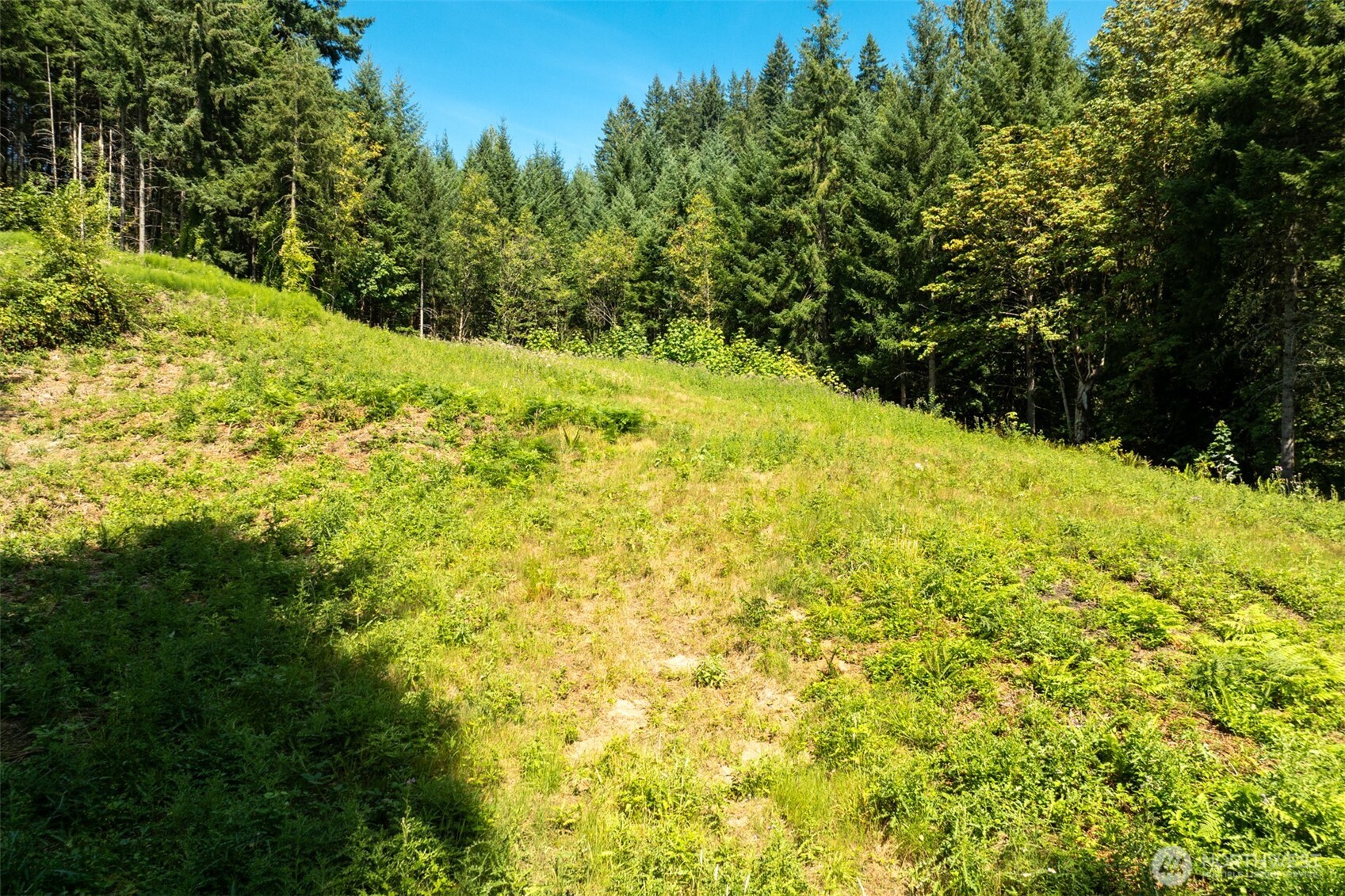 239 Junco Lane Property Photo 15