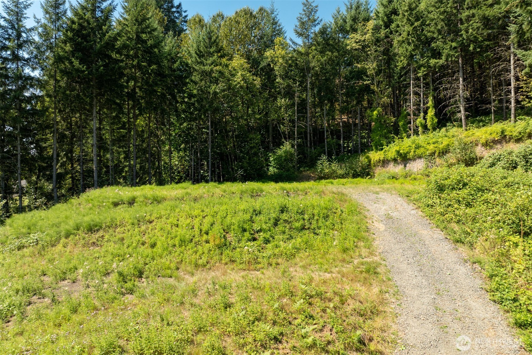 239 Junco Lane Property Photo 18