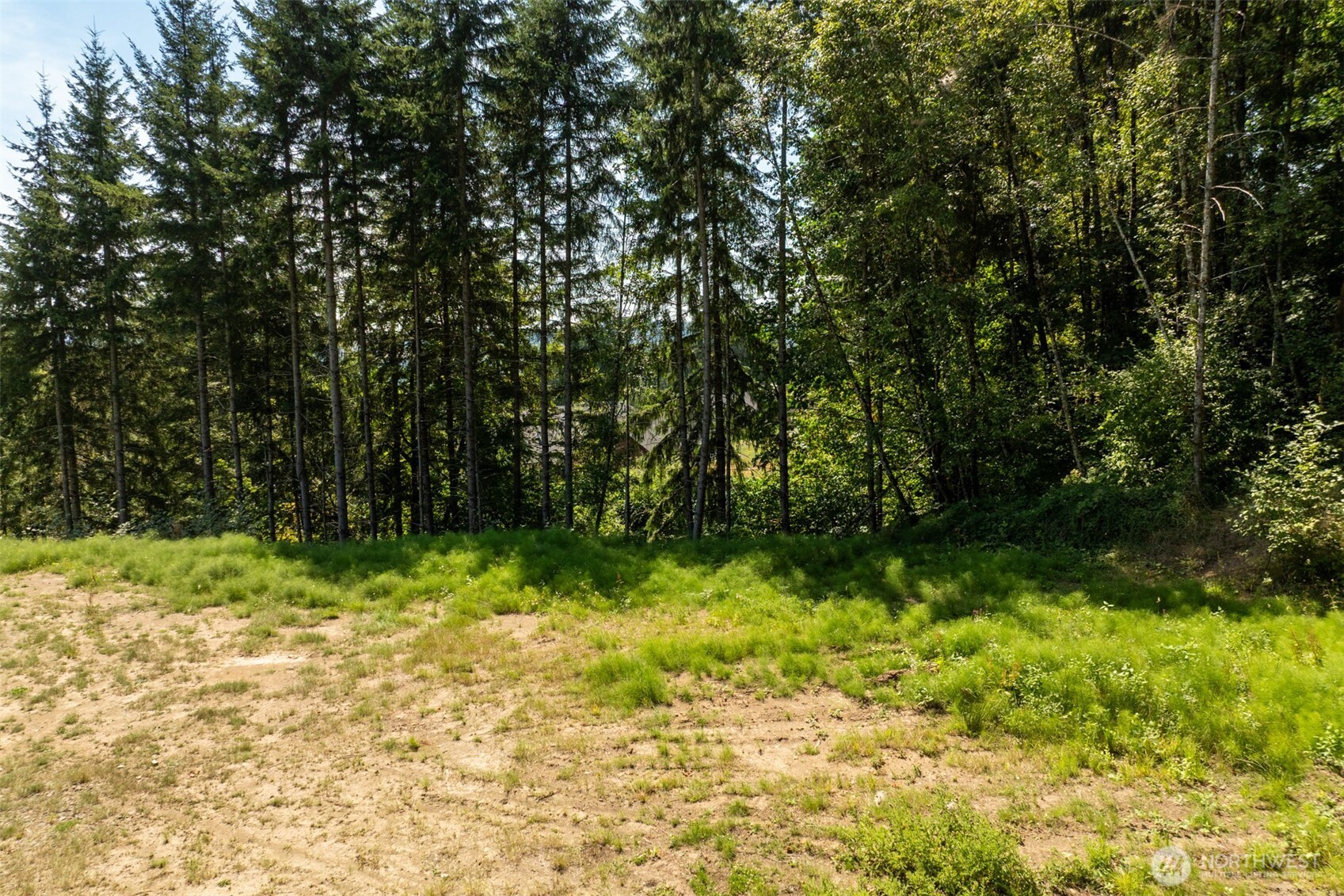 239 Junco Lane Property Photo 19