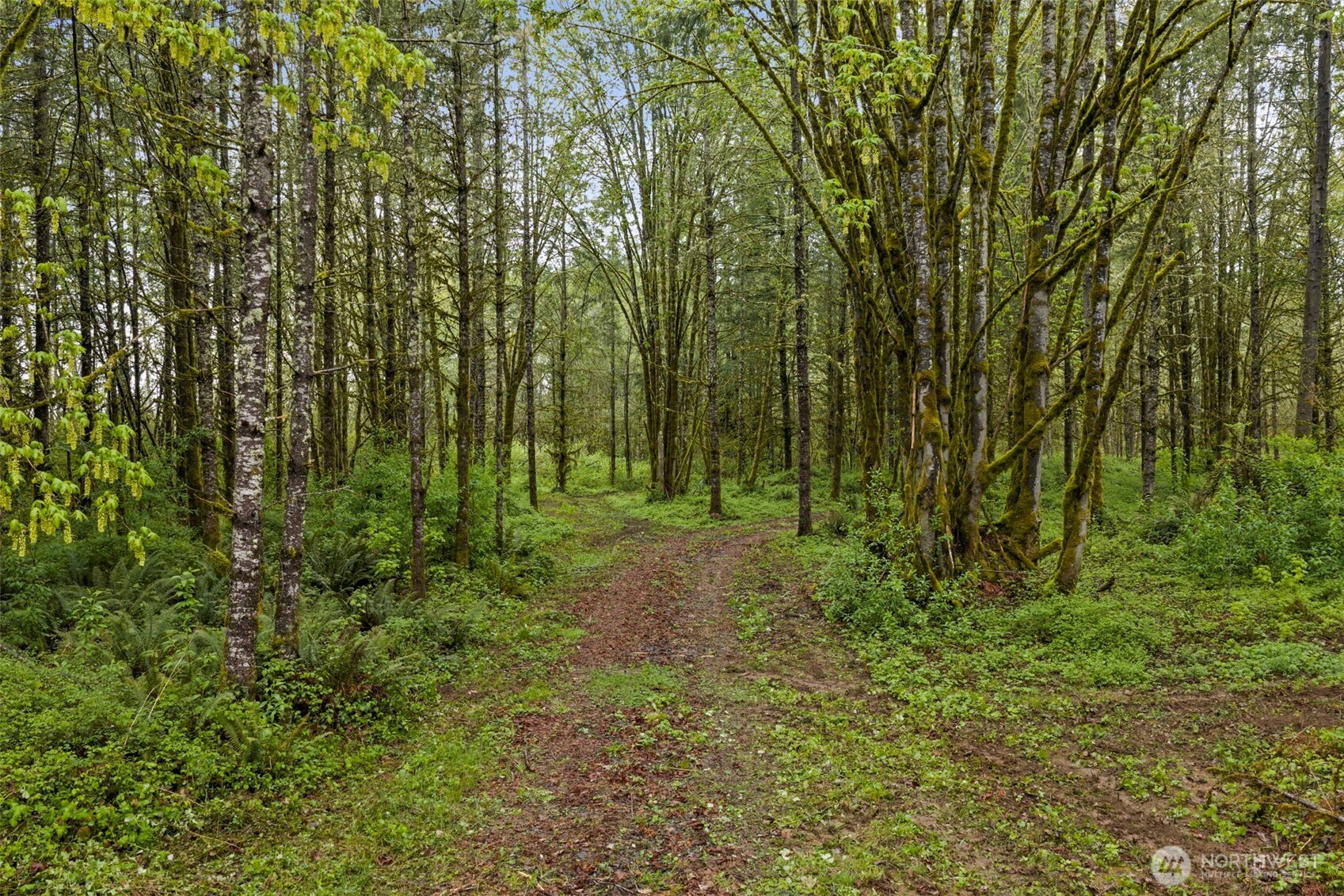 0 Us Hwy 12 Lots 1, 2 & 4 Property Photo 6
