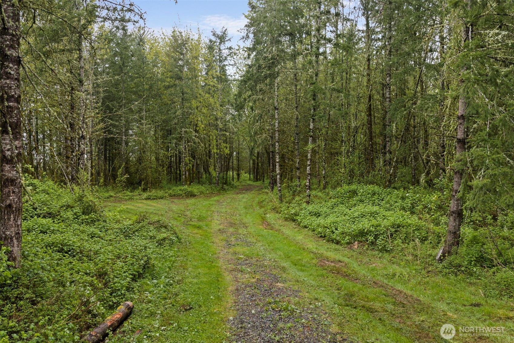 0 Us Hwy 12 Lots 1, 2 & 4 Property Photo 7