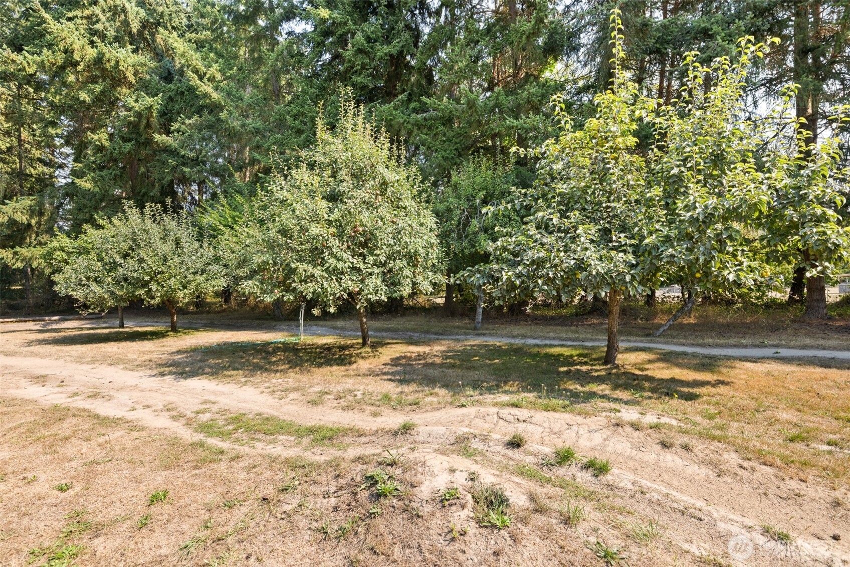 533 Hulse Road Property Photo 30